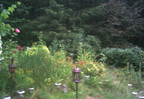 Psychotherapie,Verhaltenstherapie, Psychotherapeut, Psychotherapeutin, Angst, Depression, Pers�nlichkeitsst�rung, Psychosomatik, Ratingen, 
Kreis Mettmann, D�sseldorf, Essen, M�lheim, Velbert, Heiligenhaus, Dipl.-Psych. Edeltraud Schmidt