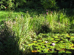 Psychotherapie,Verhaltenstherapie, Psychotherapeut, Psychotherapeutin, Angst, Depression, Pers�nlichkeitsst�rung, Psychosomatik, Ratingen, 
Kreis Mettmann, D�sseldorf, Essen, M�lheim, Velbert, Heiligenhaus, Dipl.-Psych. Edeltraud Schmidt